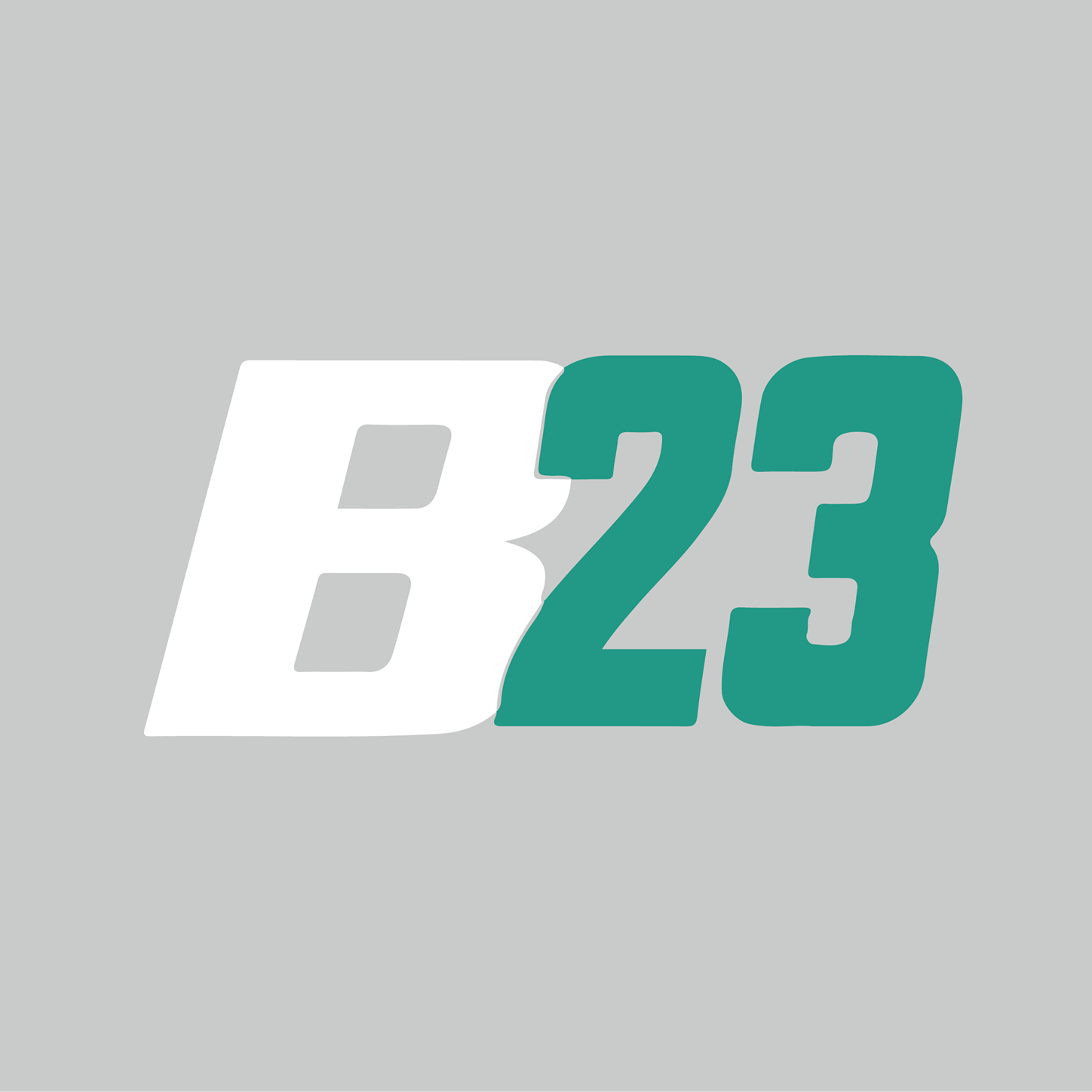 B23